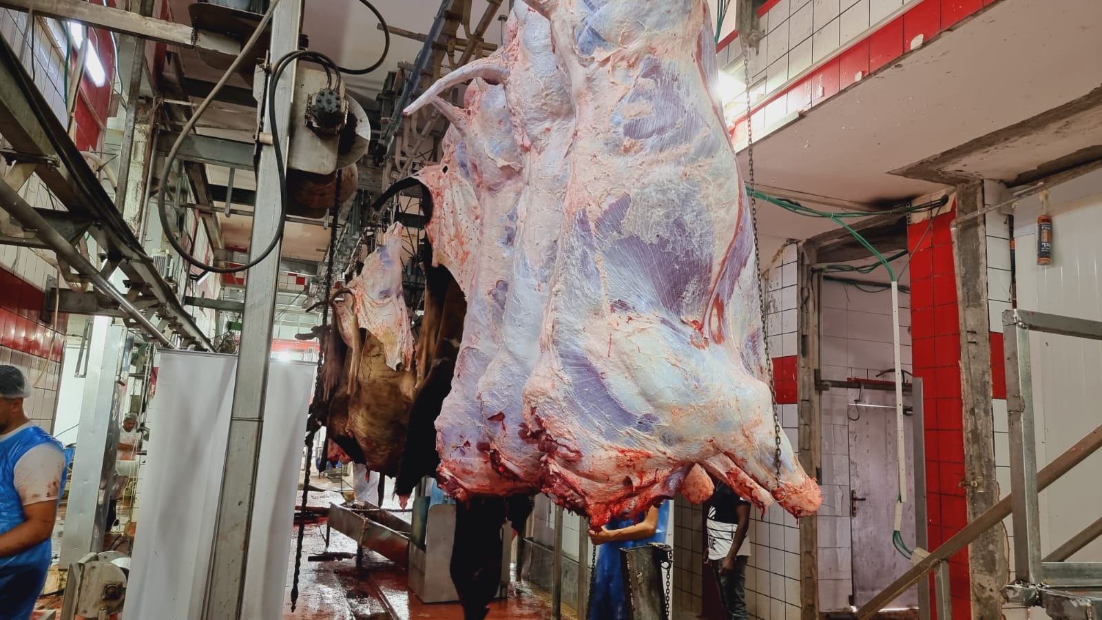 WhatsApp Image 2021-07-20 at 11.48.41 AM.jpeg